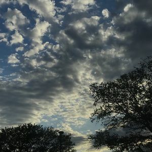 Meet your Posher, Olive